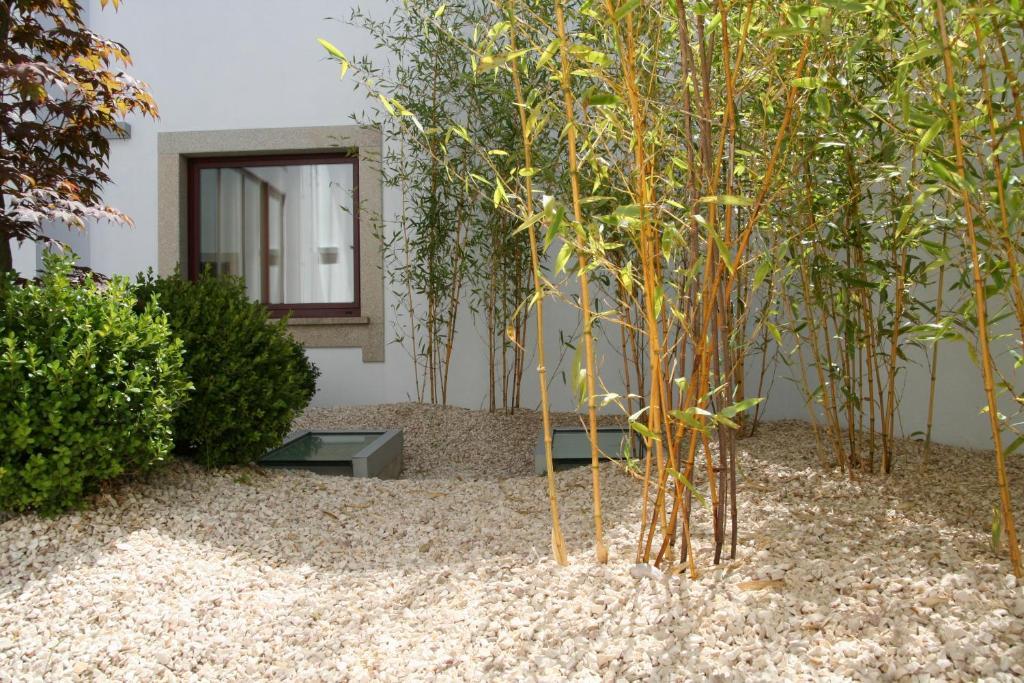 Santo Thyrso Hotel Santo Tirso Exteriér fotografie